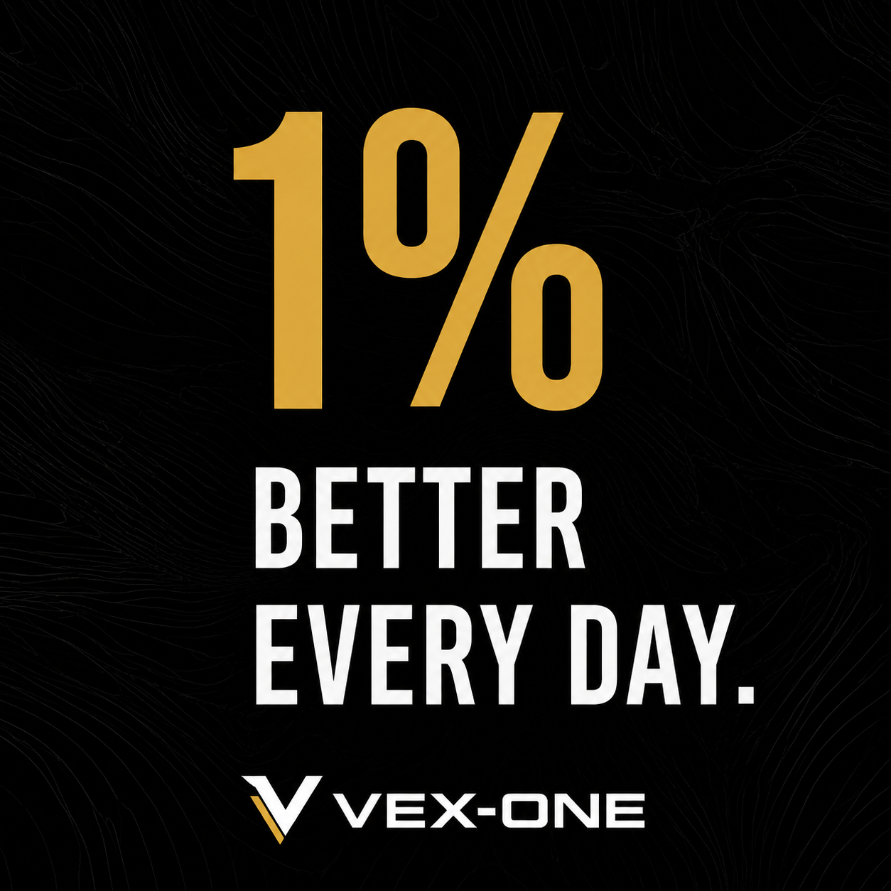 1 Prozent besser jeden Tag – VEX-ONE